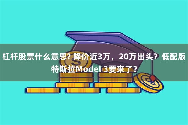 杠杆股票什么意思? 降价近3万，20万出头？低配版特斯拉Model 3要来了？