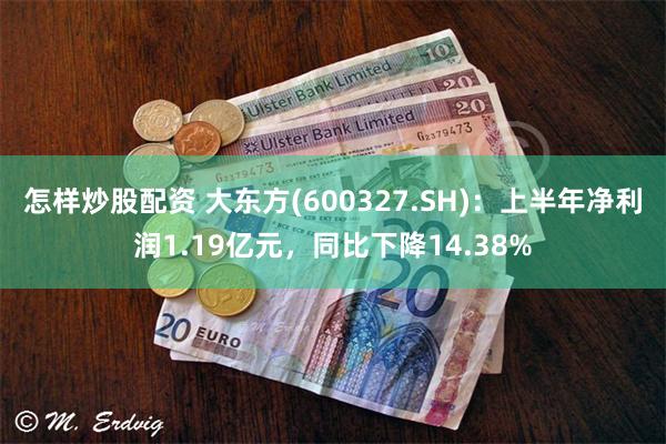 怎样炒股配资 大东方(600327.SH)：上半年净利润1.19亿元，同比下降14.38%