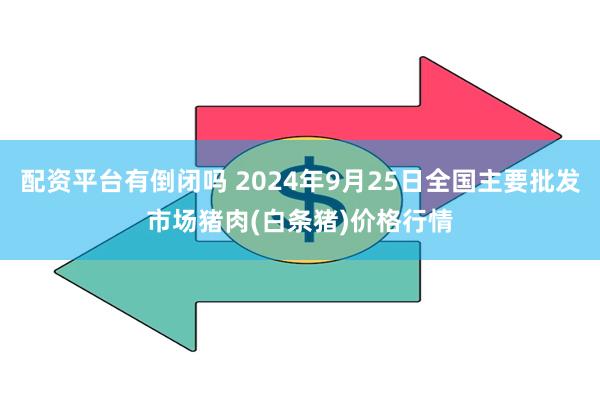 配资平台有倒闭吗 2024年9月25日全国主要批发市场猪肉(白条猪)价格行情