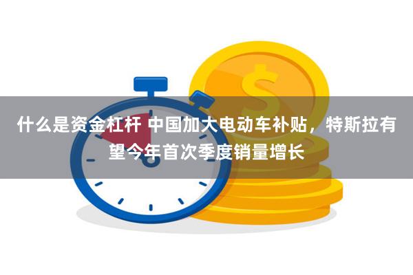 什么是资金杠杆 中国加大电动车补贴，特斯拉有望今年首次季度销量增长