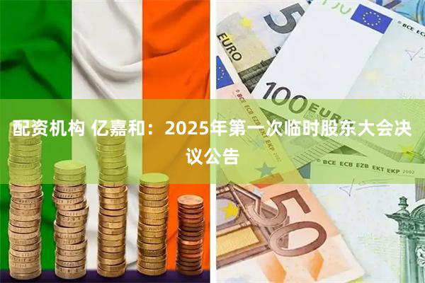 配资机构 亿嘉和：2025年第一次临时股东大会决议公告