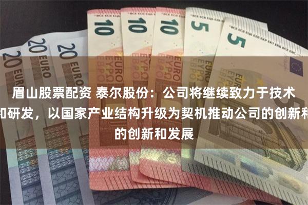 眉山股票配资 泰尔股份：公司将继续致力于技术创新和研发，以国家产业结构升级为契机推动公司的创新和发展